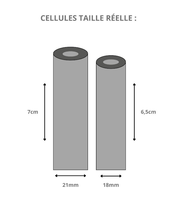 Schéma d'une cellule