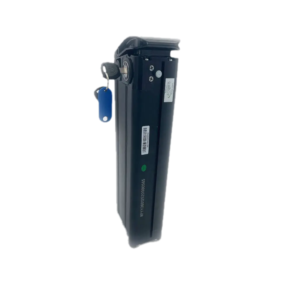 Batterie Velobecane 2.webp