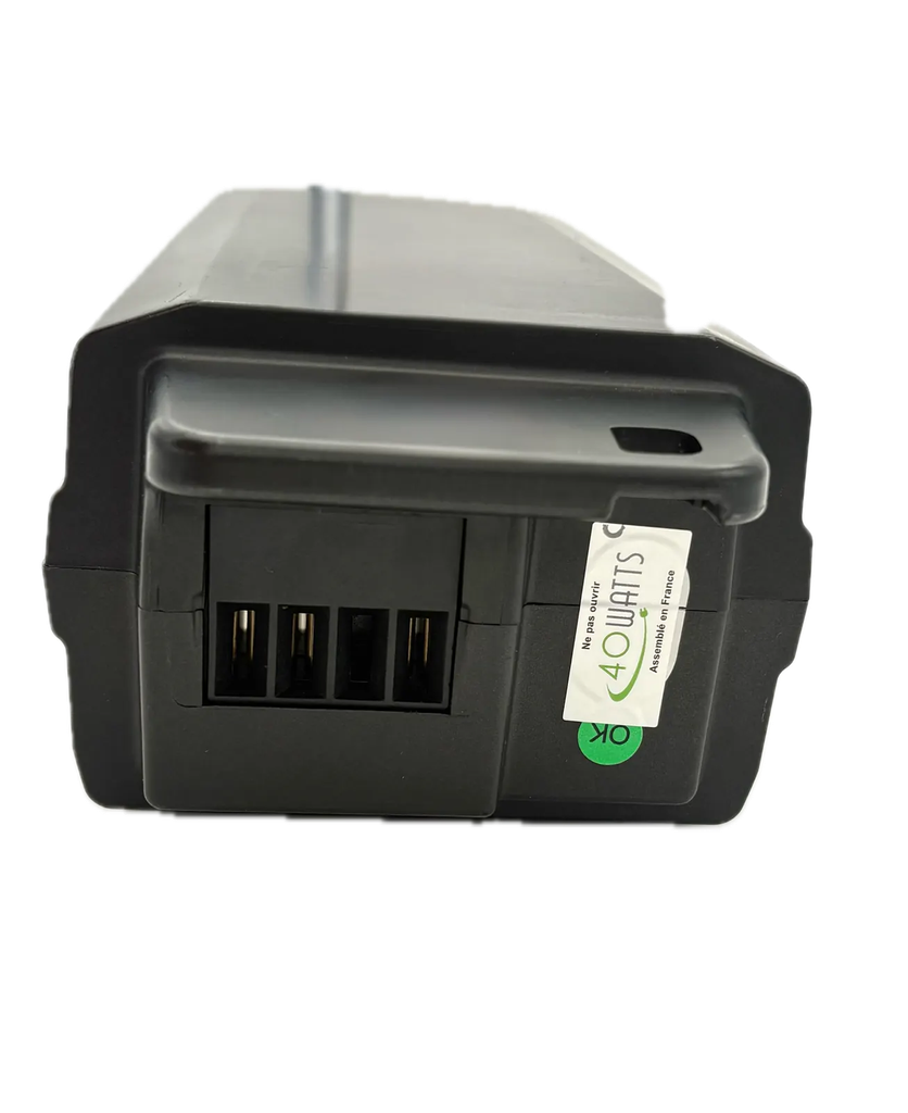 Batterie_Giant_EnergyPak_300_(36V)_2.webp