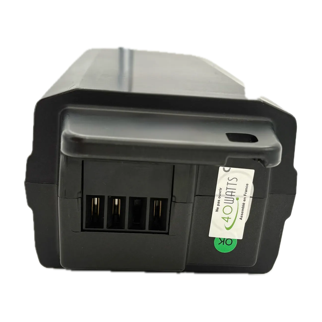 Batterie_Giant_EnergyPak_300_(36V)_2.webp