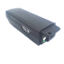 Batterie Giant EnergyPak 300(36V)