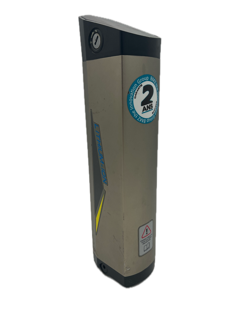 Batterie BMZ Thunder (36V) (10,5Ah)