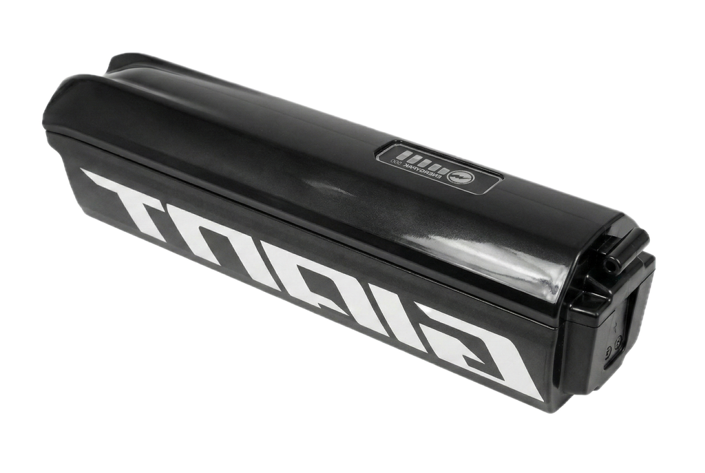 Batterie Giant Energypak 500 (36V)