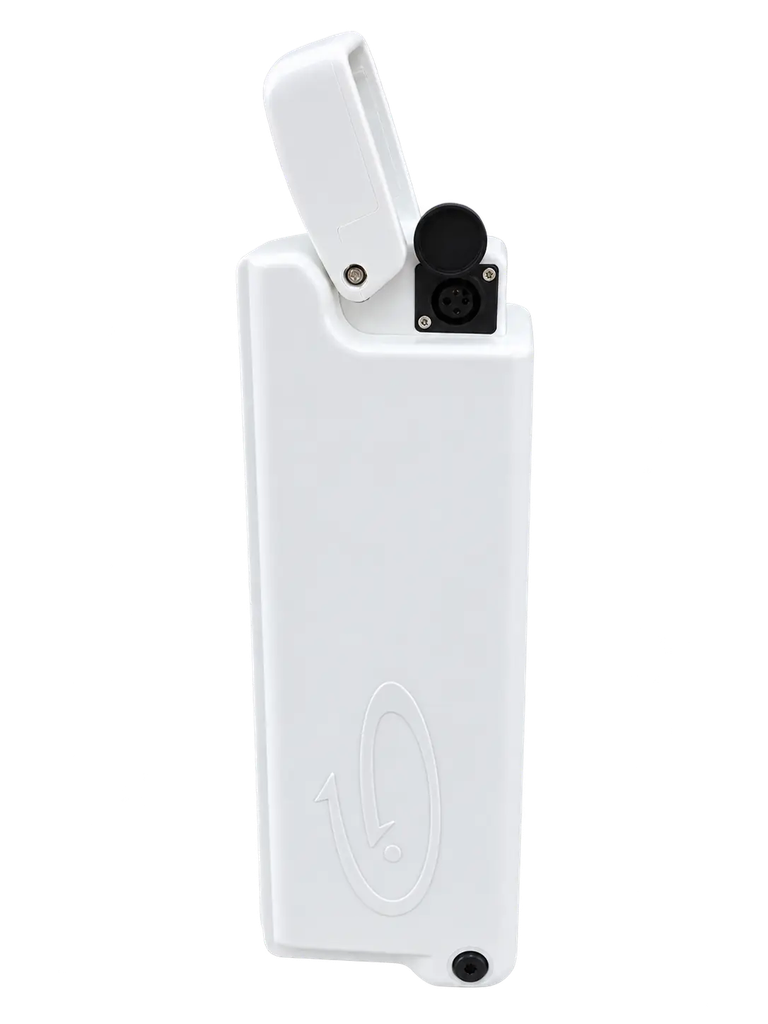 Batterie Wayscral (36V) (10Ah)