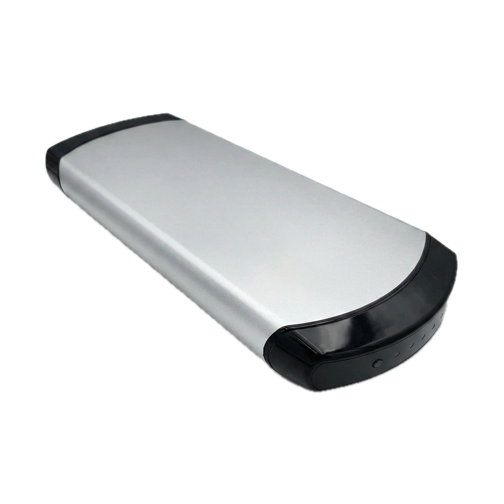 Batterie Phylion XH06-370-13J (24V) (10Ah)
