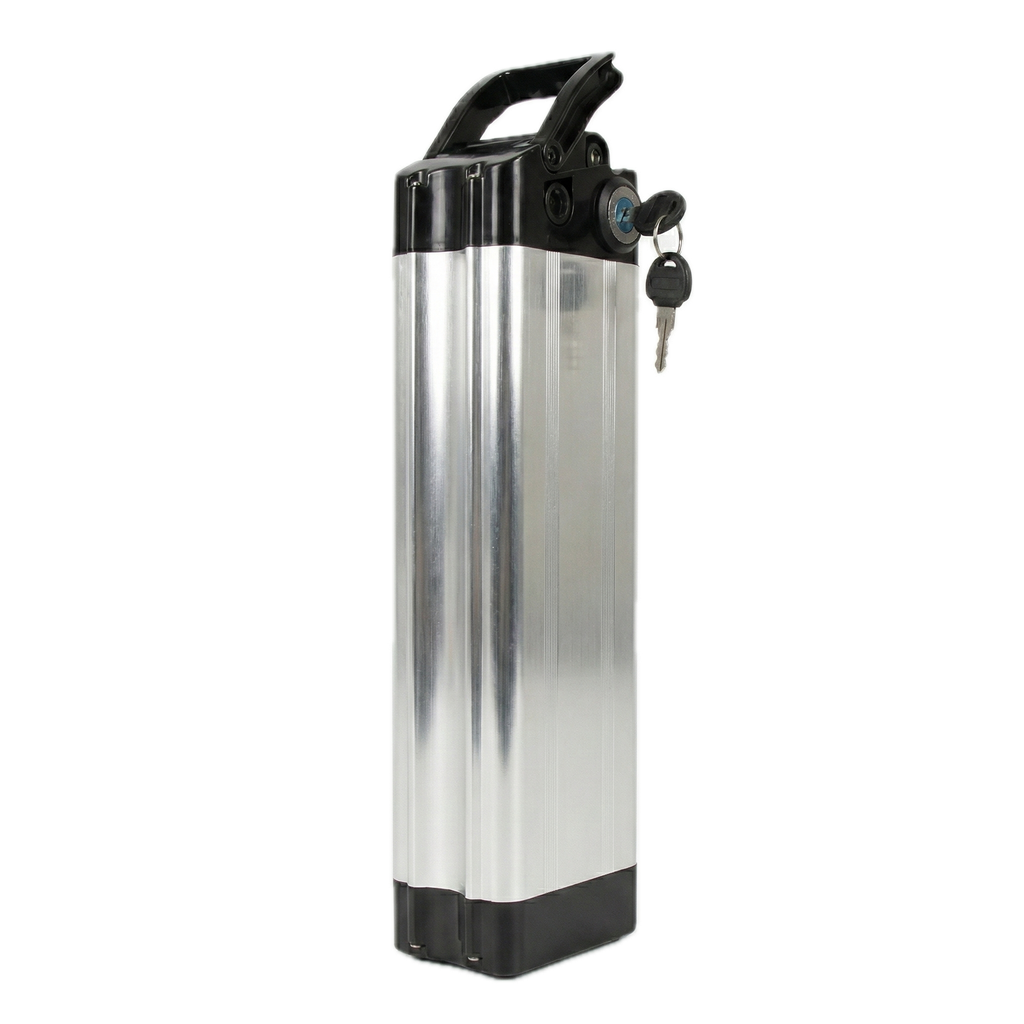 Batterie Silverfish (24V) (10Ah)
